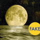 Illustration for article titled 9 More Viral Photos That Are Totally Fake